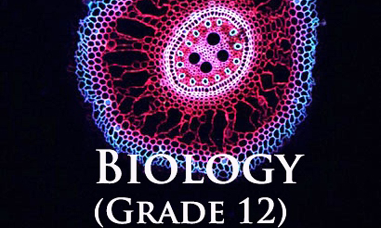 SBI4U - University Biology ( 生物学 )